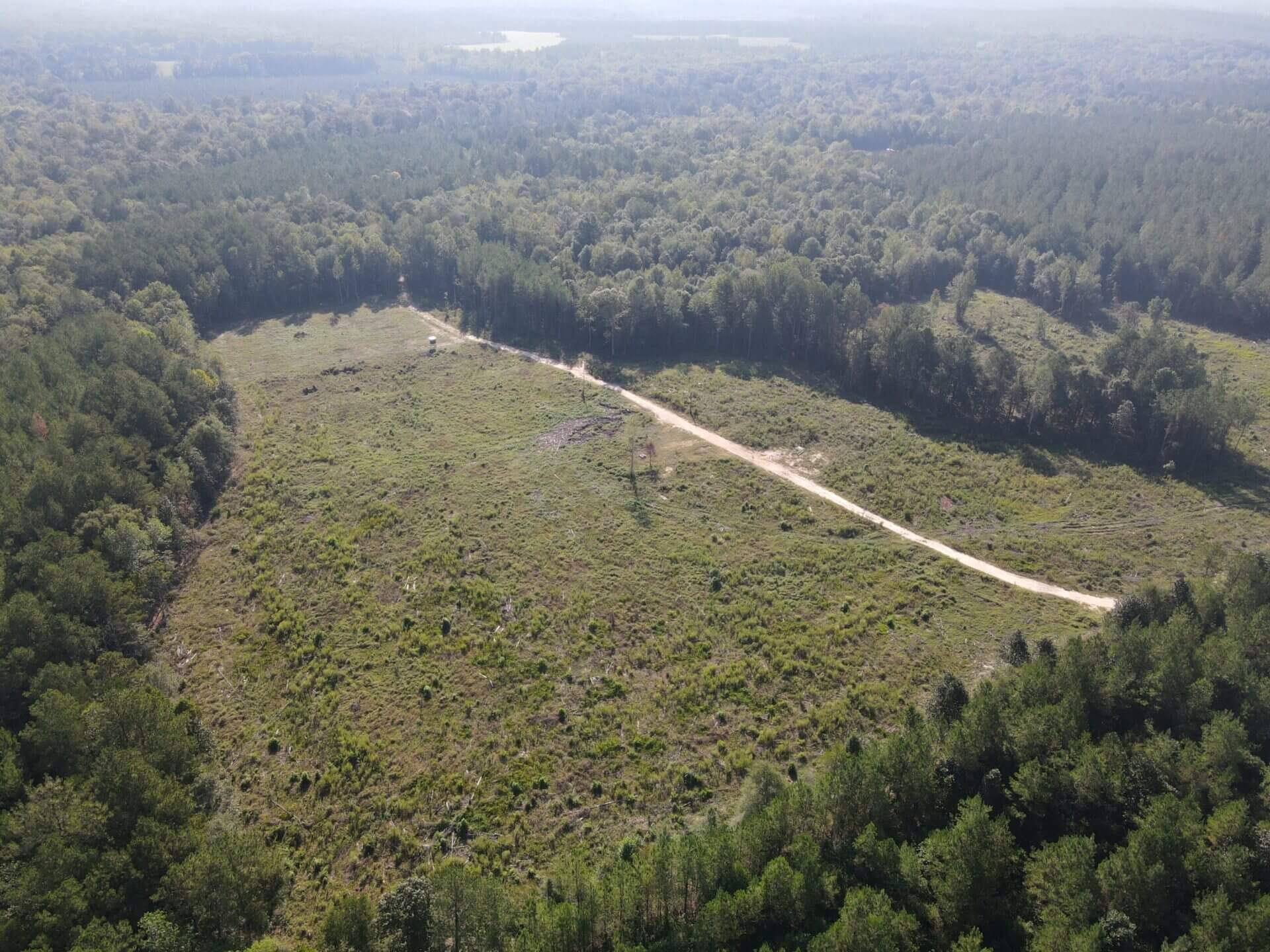 BURNT CORN CREEK TRACT – 112 ACRES – CONECUH COUNTY, ALABAMA | Butler ...